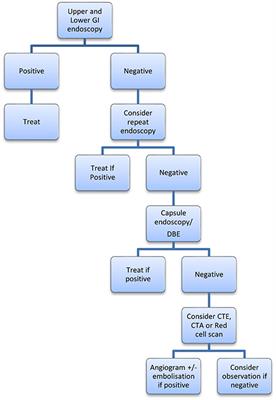 Small Bowel Gastrointestinal Bleeding Diagnosis and Management—A Narrative Review